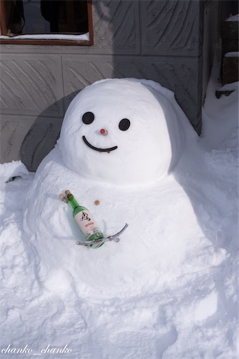 f:id:chankochanko:20211230235841j:image