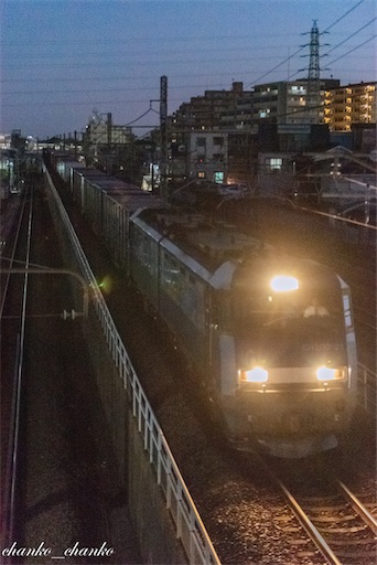 f:id:chankochanko:20220204121954j:image