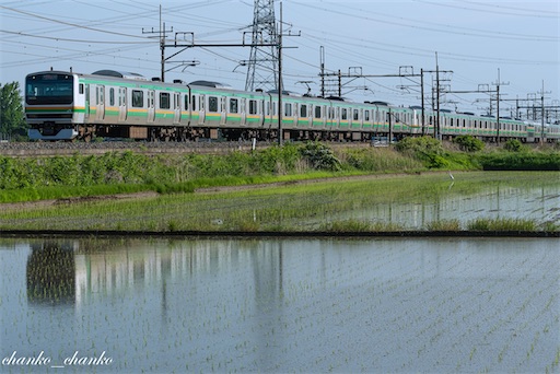 f:id:chankochanko:20220518094204j:image