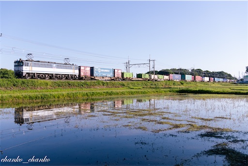 f:id:chankochanko:20220611083106j:image f:id:chankochanko:20220611083106j:image