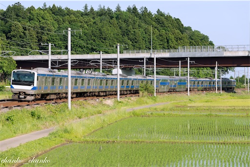 f:id:chankochanko:20220618075222j:image
