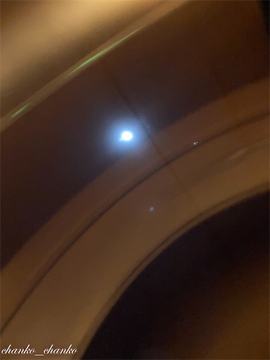 f:id:chankochanko:20220925085018j:image