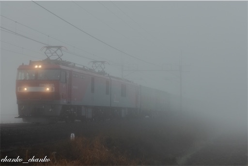f:id:chankochanko:20221215043715j:image
