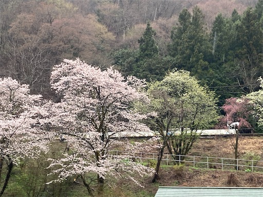 f:id:chankochanko:20230501203024j:image