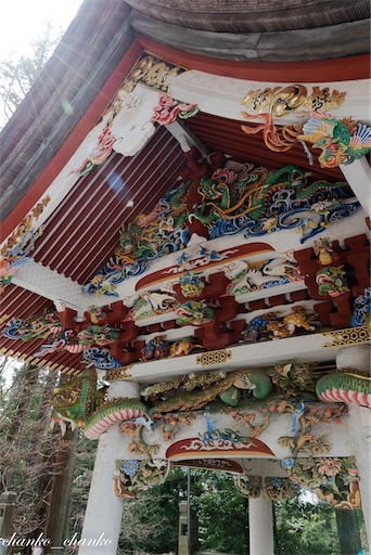 f:id:chankochanko:20230504212557j:image