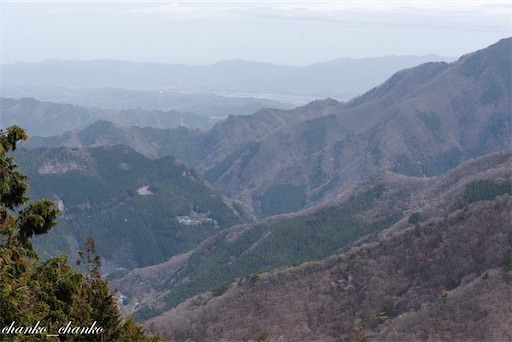 f:id:chankochanko:20230504212605j:image