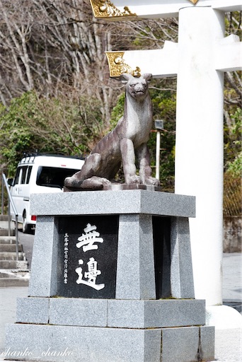 f:id:chankochanko:20230504212616j:image