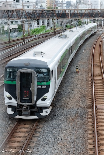 f:id:chankochanko:20230717141232j:image