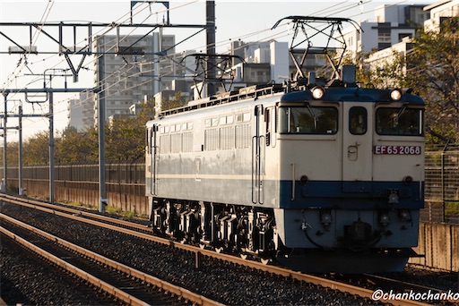 f:id:chankochanko:20240421085741j:image f:id:chankochanko:20240421085741j:image
