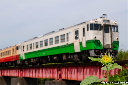 f:id:chankochanko:20241008143907j:image