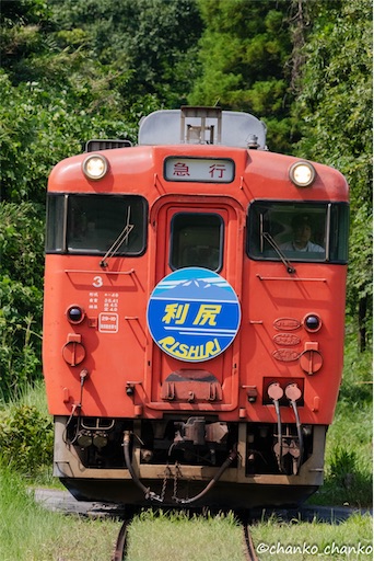 f:id:chankochanko:20241008143937j:image