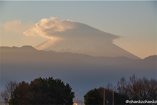 f:id:chankochanko:20250308114139j:image