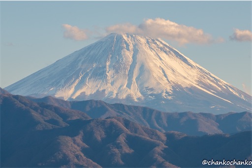 f:id:chankochanko:20250308114206j:image