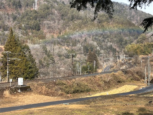 f:id:chankochanko:20250308115245j:image