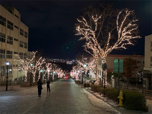 f:id:chankochanko:20250312093110j:image