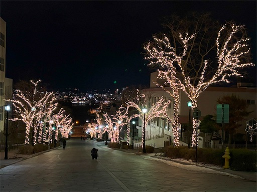 f:id:chankochanko:20250312093113j:image