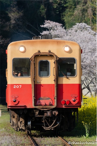 f:id:chankochanko:20250428111420j:image