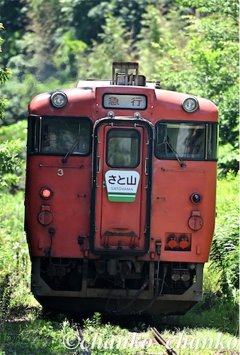 f:id:chankochanko:20250703101536j:image