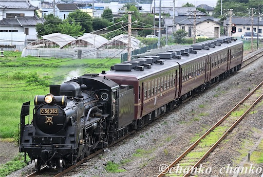 f:id:chankochanko:20250731100224j:image