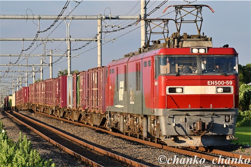 f:id:chankochanko:20250805100800j:image