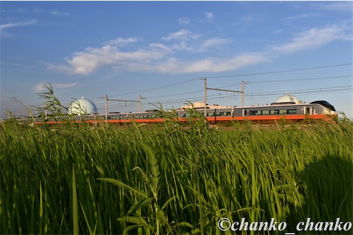 f:id:chankochanko:20250805100804j:image
