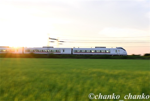 f:id:chankochanko:20250805100810j:image