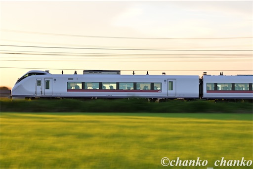 f:id:chankochanko:20250805100813j:image