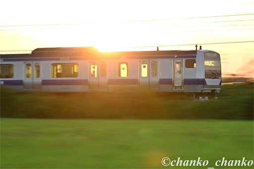 f:id:chankochanko:20250805100817j:image