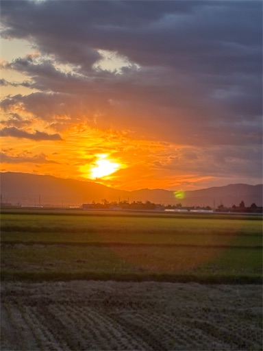 f:id:chankochanko:20251117081212j:image
