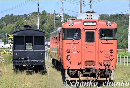 f:id:chankochanko:20251123224314j:image f:id:chankochanko:20251123224314j:image