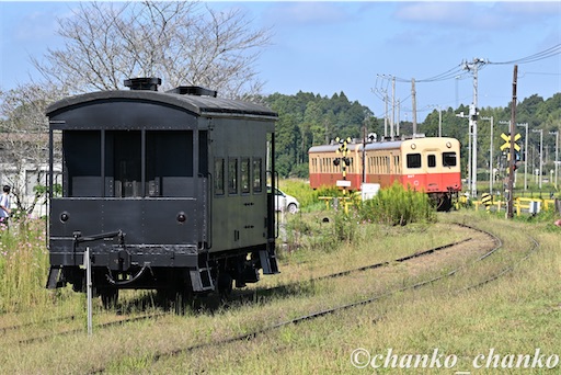 f:id:chankochanko:20251123224317j:image f:id:chankochanko:20251123224317j:image