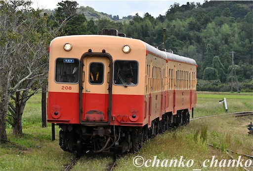 f:id:chankochanko:20251123224510j:image f:id:chankochanko:20251123224510j:image