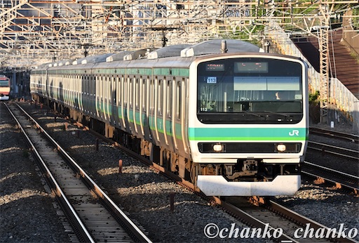 f:id:chankochanko:20251203213227j:image