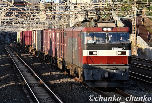 f:id:chankochanko:20251203213230j:image