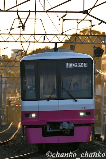 f:id:chankochanko:20251203213241j:image