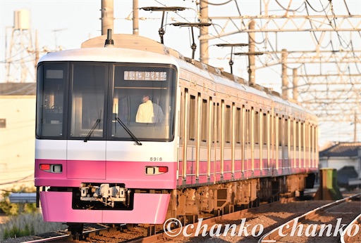 f:id:chankochanko:20251203213245j:image
