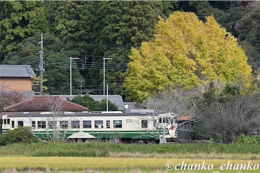 f:id:chankochanko:20251220212555j:image f:id:chankochanko:20251220212555j:image