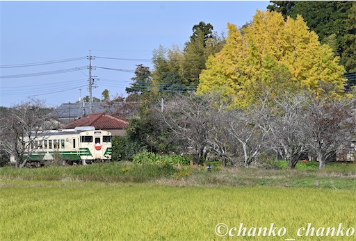 f:id:chankochanko:20251220212559j:image f:id:chankochanko:20251220212559j:image
