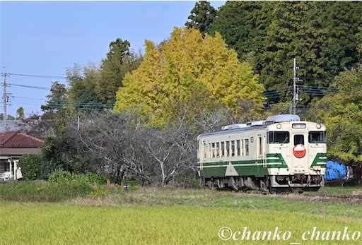 f:id:chankochanko:20251220212602j:image f:id:chankochanko:20251220212602j:image