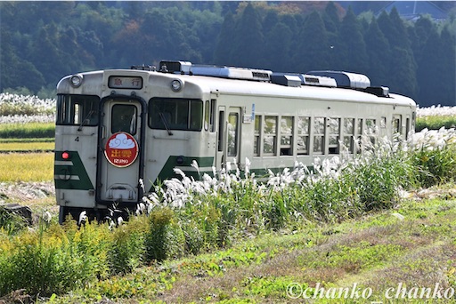 f:id:chankochanko:20251220212609j:image f:id:chankochanko:20251220212609j:image