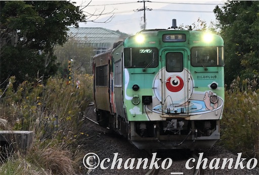 f:id:chankochanko:20260127182807j:image
