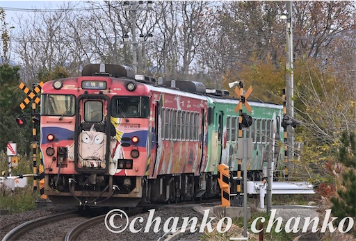 f:id:chankochanko:20260127182816j:image