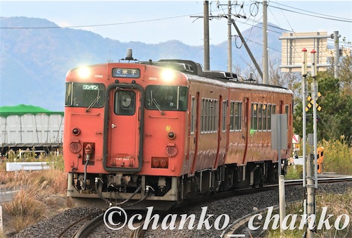 f:id:chankochanko:20260127182820j:image