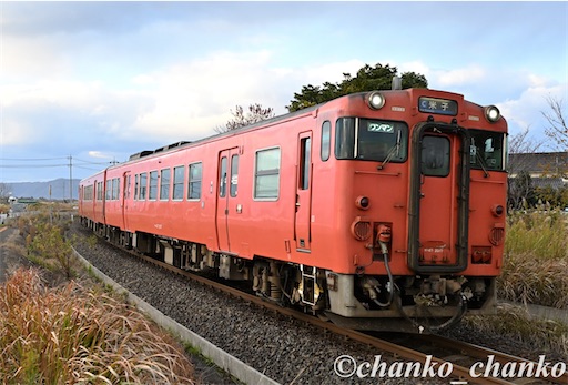 f:id:chankochanko:20260127182822j:image