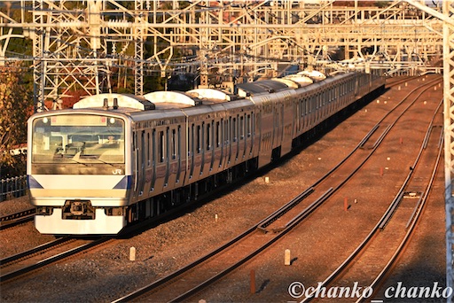 f:id:chankochanko:20260207110048j:image