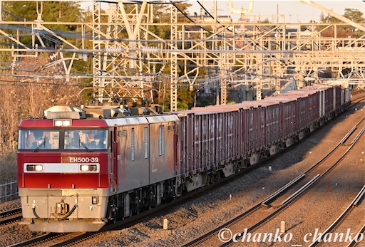 f:id:chankochanko:20260207110413j:image