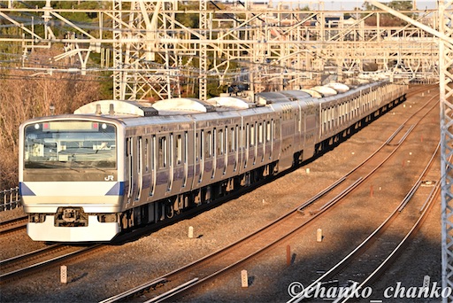 f:id:chankochanko:20260207110537j:image