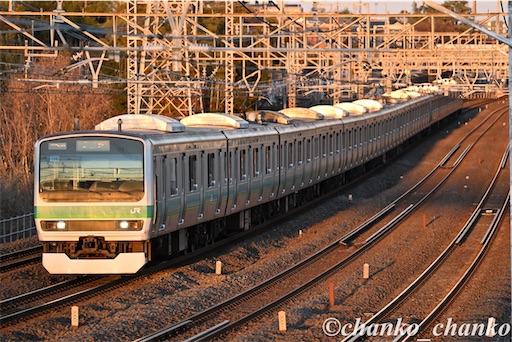 f:id:chankochanko:20260207110544j:image