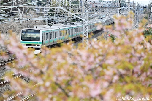f:id:chankochanko:20260418105816j:image
