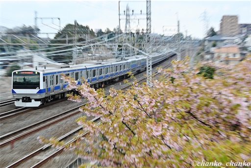 f:id:chankochanko:20260418105822j:image